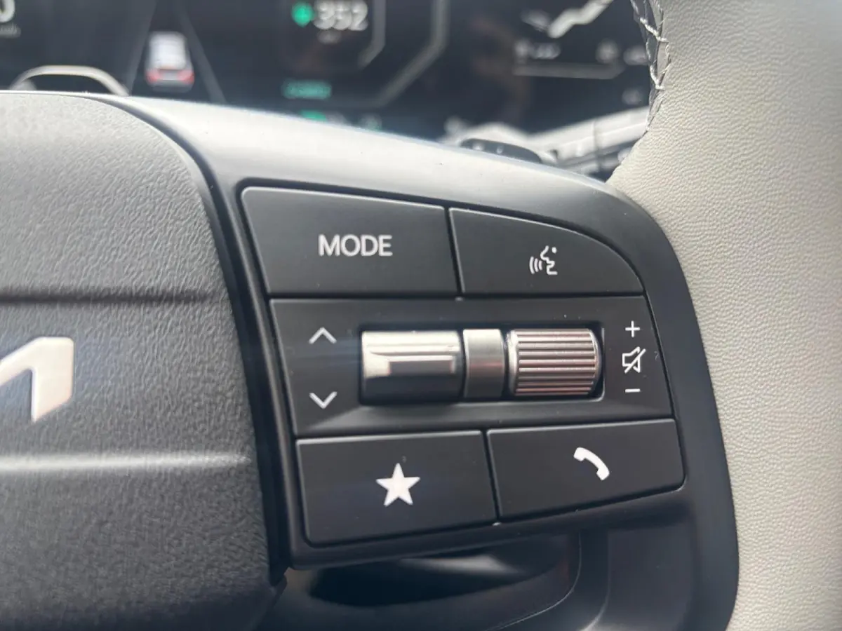 Plus Advanced 58.3 kWh Demonstratie auto | Schuifkanteldak | Achteruitrijcamera | Harmon Kardon |
