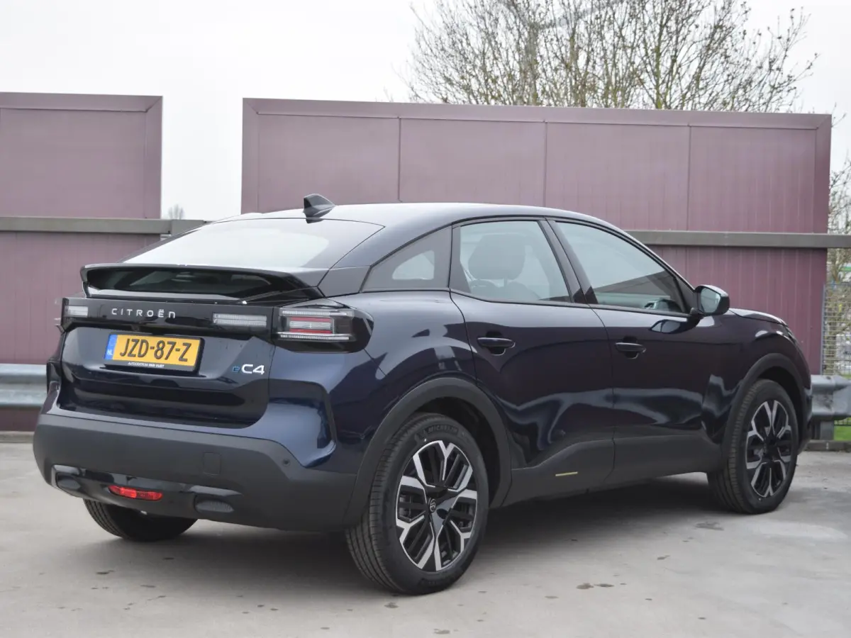 Business 156pk Extended range 54 kWh | TOT 8 JAAR GARANTIE