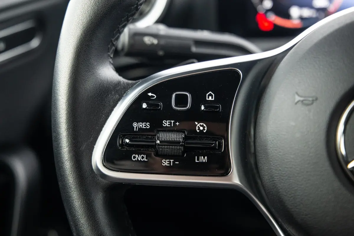 250 e Business Line AUTOMAAT / LEDER / CRUISE CONTROLE / CAMERA / CARPLAY