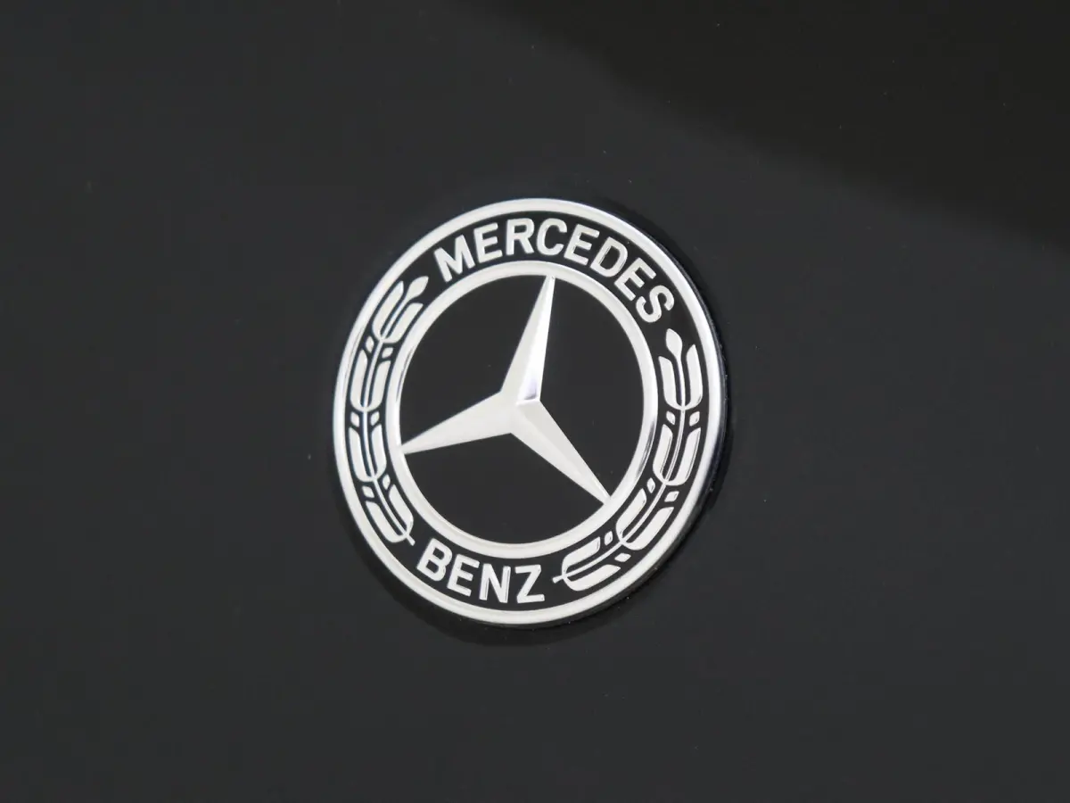 180 Business Solution AMG /Panoramadak /19 Inch /Nightpakket