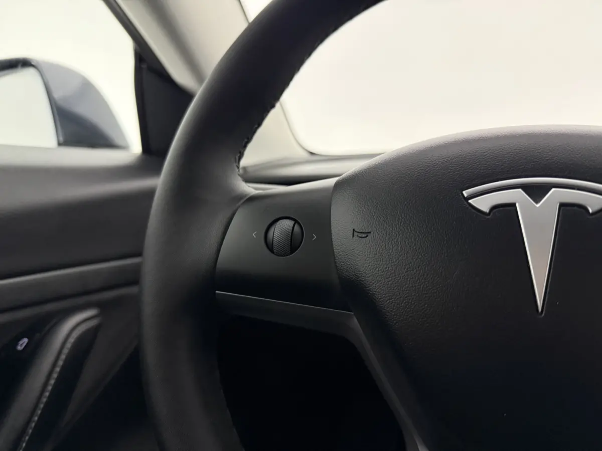 Standard RWD Plus 60 kWh | Autopilot | Snelladen | SOH 89% | Pano | Camera | Memory | Navi | Stoelverw.