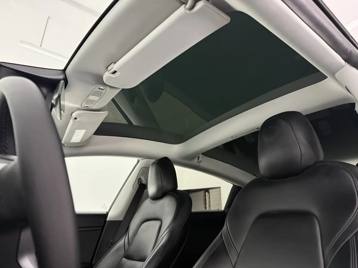 Standard RWD Plus 60 kWh | Autopilot | Snelladen | SOH 89% | Pano | Camera | Memory | Navi | Stoelverw.