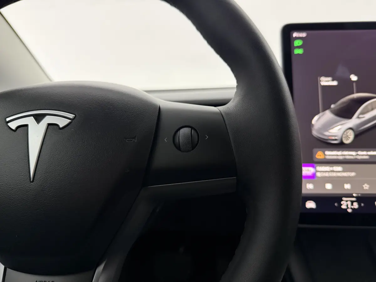 Standard RWD Plus 60 kWh | Autopilot | Snelladen | SOH 89% | Pano | Camera | Memory | Navi | Stoelverw.