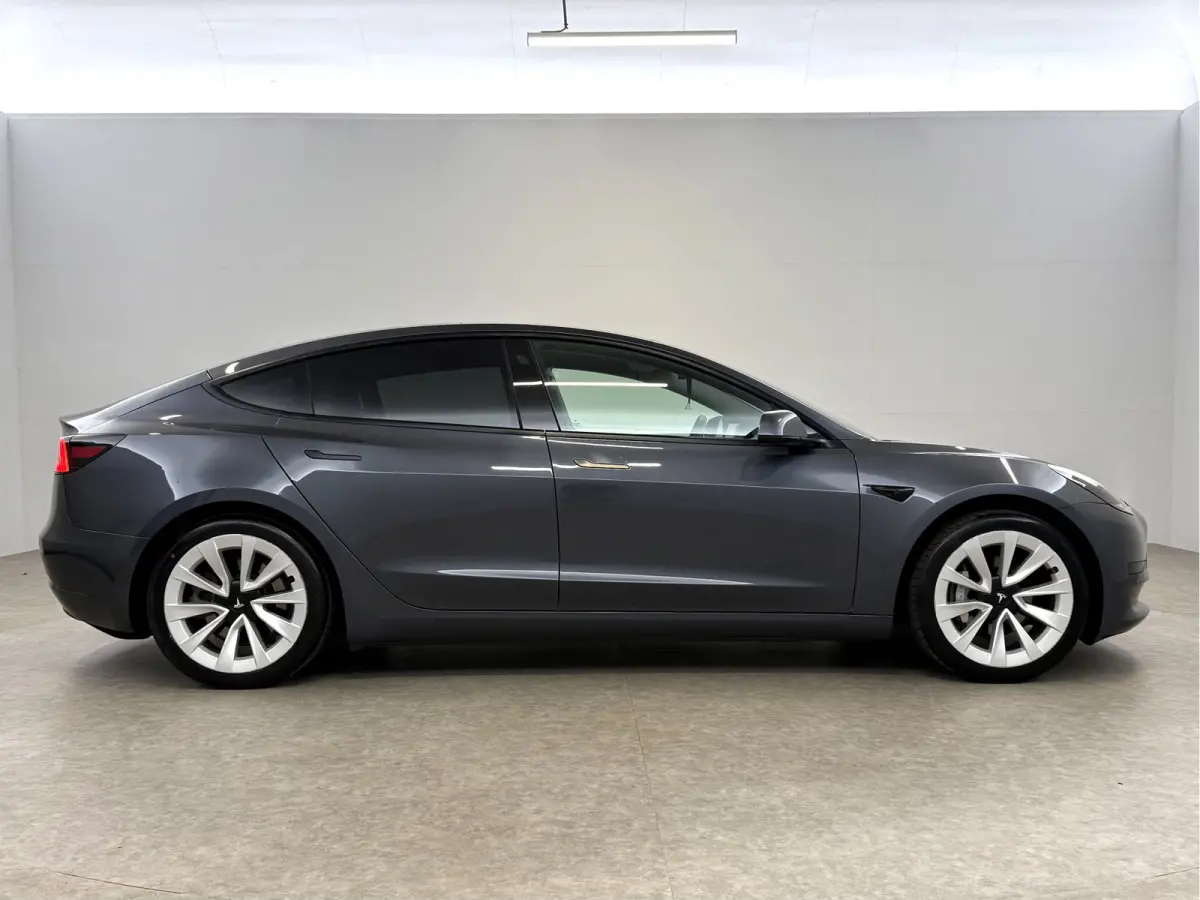Standard RWD Plus 60 kWh | Autopilot | Snelladen | SOH 89% | Pano | Camera | Memory | Navi | Stoelverw.