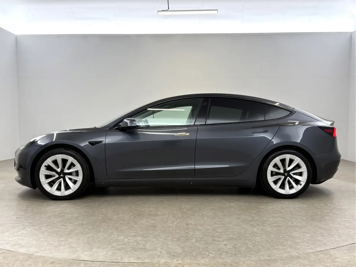Standard RWD Plus 60 kWh | Autopilot | Snelladen | SOH 89% | Pano | Camera | Memory | Navi | Stoelverw.
