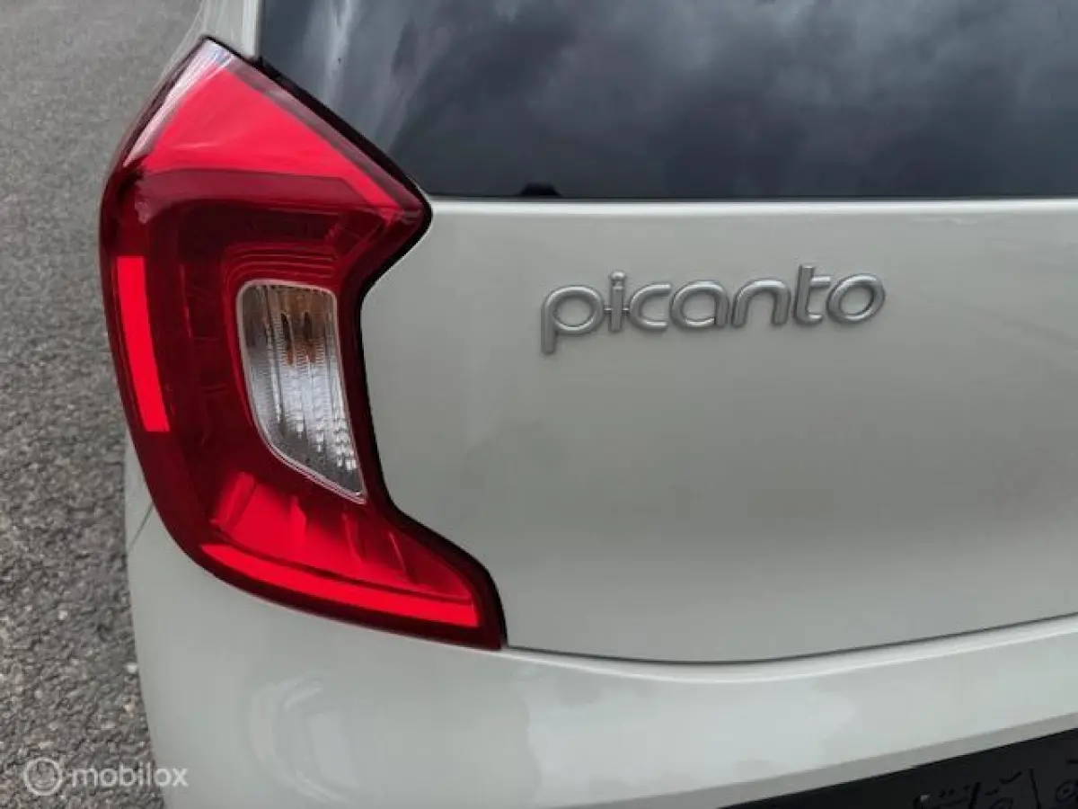1.0 DPi Dynamic Edition - Stoel & Stuurverwarming, Navigatie via Carplay, Camera achter, Airco, Electr ramen en spiegels, Deurvergr. met afst.diening, Priveglas, Velgen