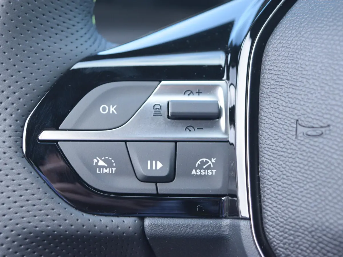 GT 54 kWh | Direct rijden | Alcantara-pakket | 360 Vision & Drive Assist Plus Pack | Sensation Pack | Warmtepomp