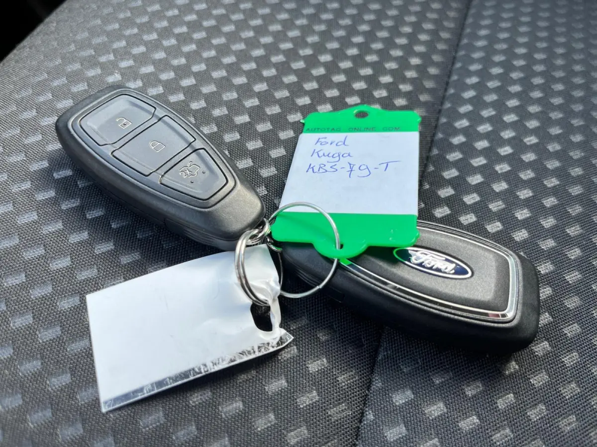 2.5 PHEV ST-Line | Winterpack | Adaptieve Cruise Control | Camera achter en voor | Stoel- en stuurverwarming