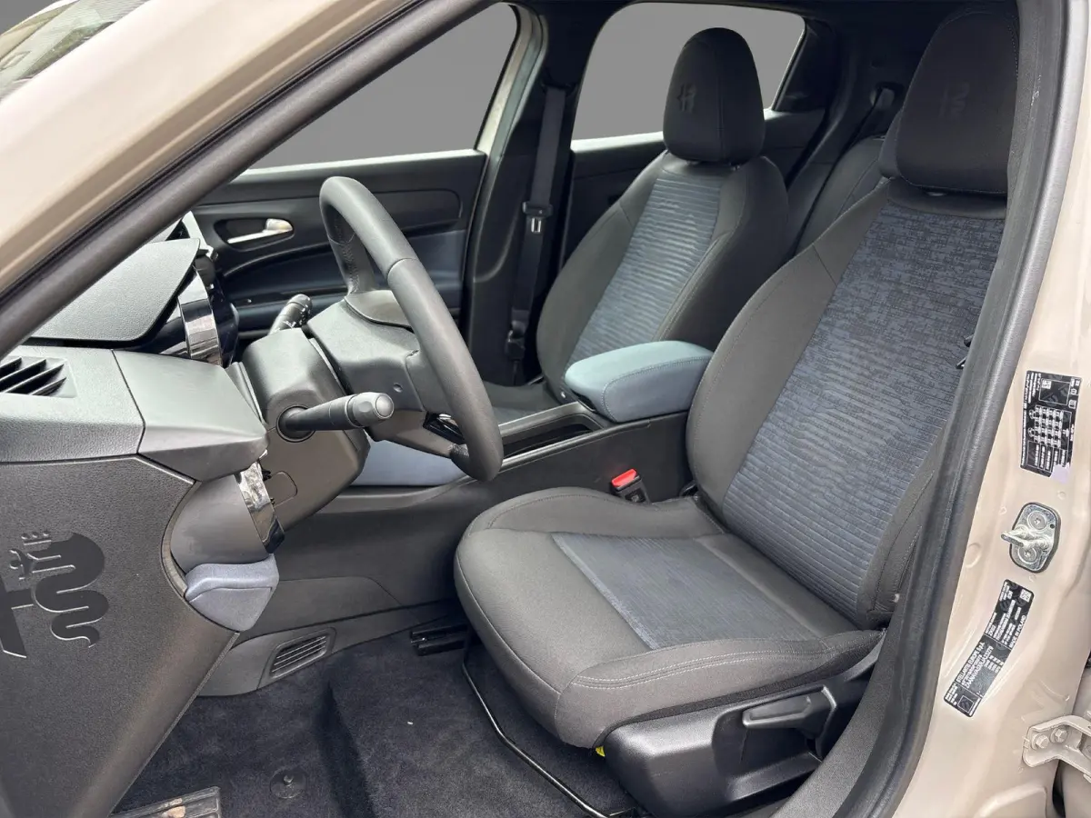 Elettrica 54 kWh | Apple Carplay/Android Auto | Climate Control | Parkeersensoren | Cruise Control | Lichtmetalen Velgen 18" |