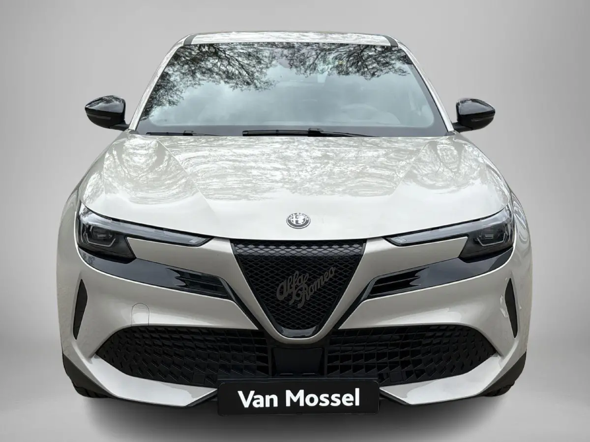 Elettrica 54 kWh | Apple Carplay/Android Auto | Climate Control | Parkeersensoren | Cruise Control | Lichtmetalen Velgen 18" |