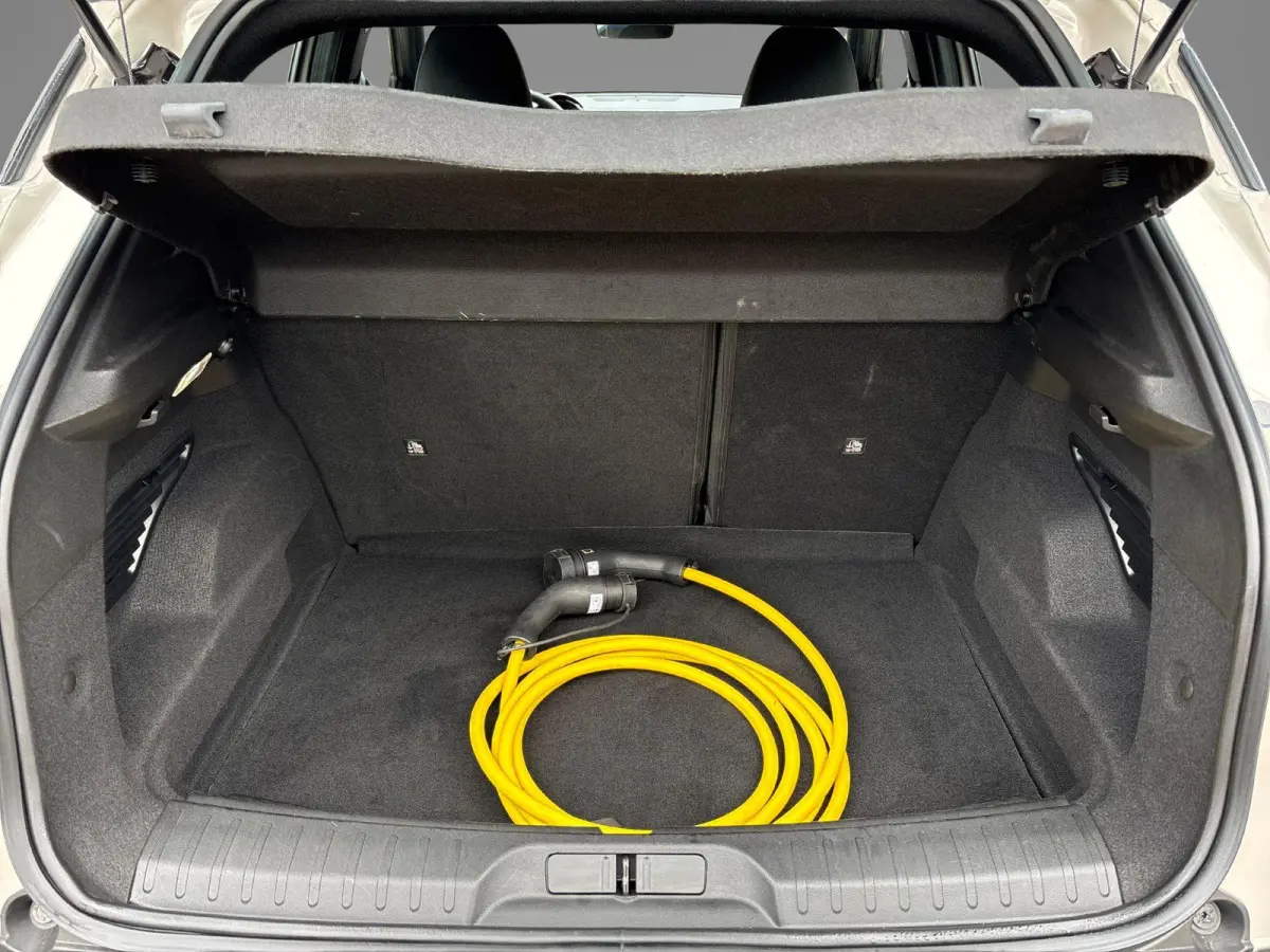 Elettrica 54 kWh | Apple Carplay/Android Auto | Climate Control | Parkeersensoren | Cruise Control | Lichtmetalen Velgen 18" |