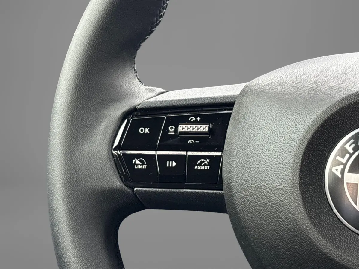 Elettrica 54 kWh | Apple Carplay/Android Auto | Climate Control | Parkeersensoren | Cruise Control | Lichtmetalen Velgen 18" |