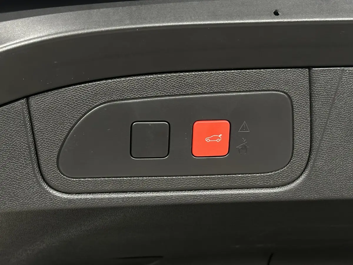 1.6 PHEV 300 4x4 Pallas | Panoramisch schuif-, kanteldak | Adaptive Cruise Control | 360° Camera