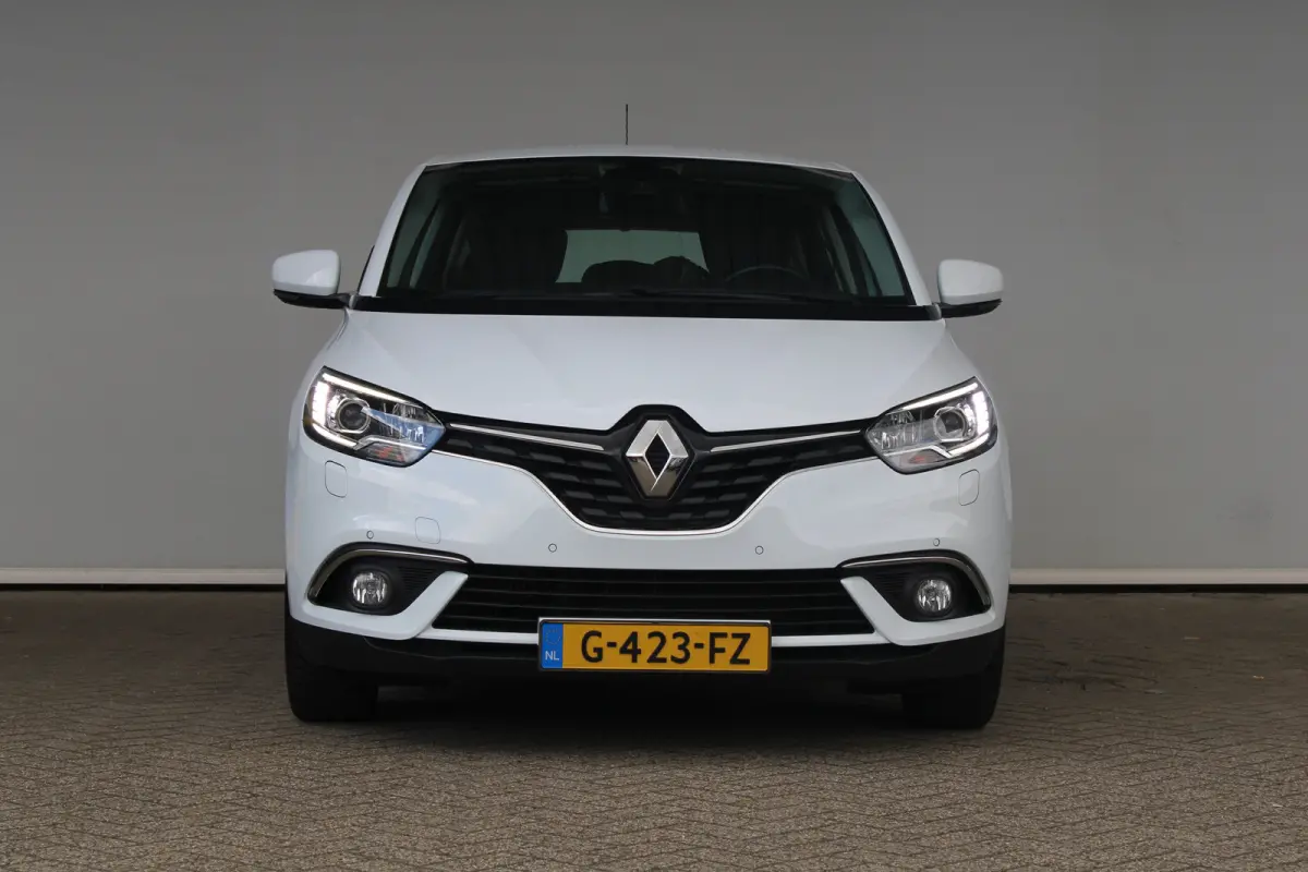 1.2 TCe Intens | Trekhaak | Camera in binnenspiegel | Stoelverwarming | Stoelmassage | Cruise control |