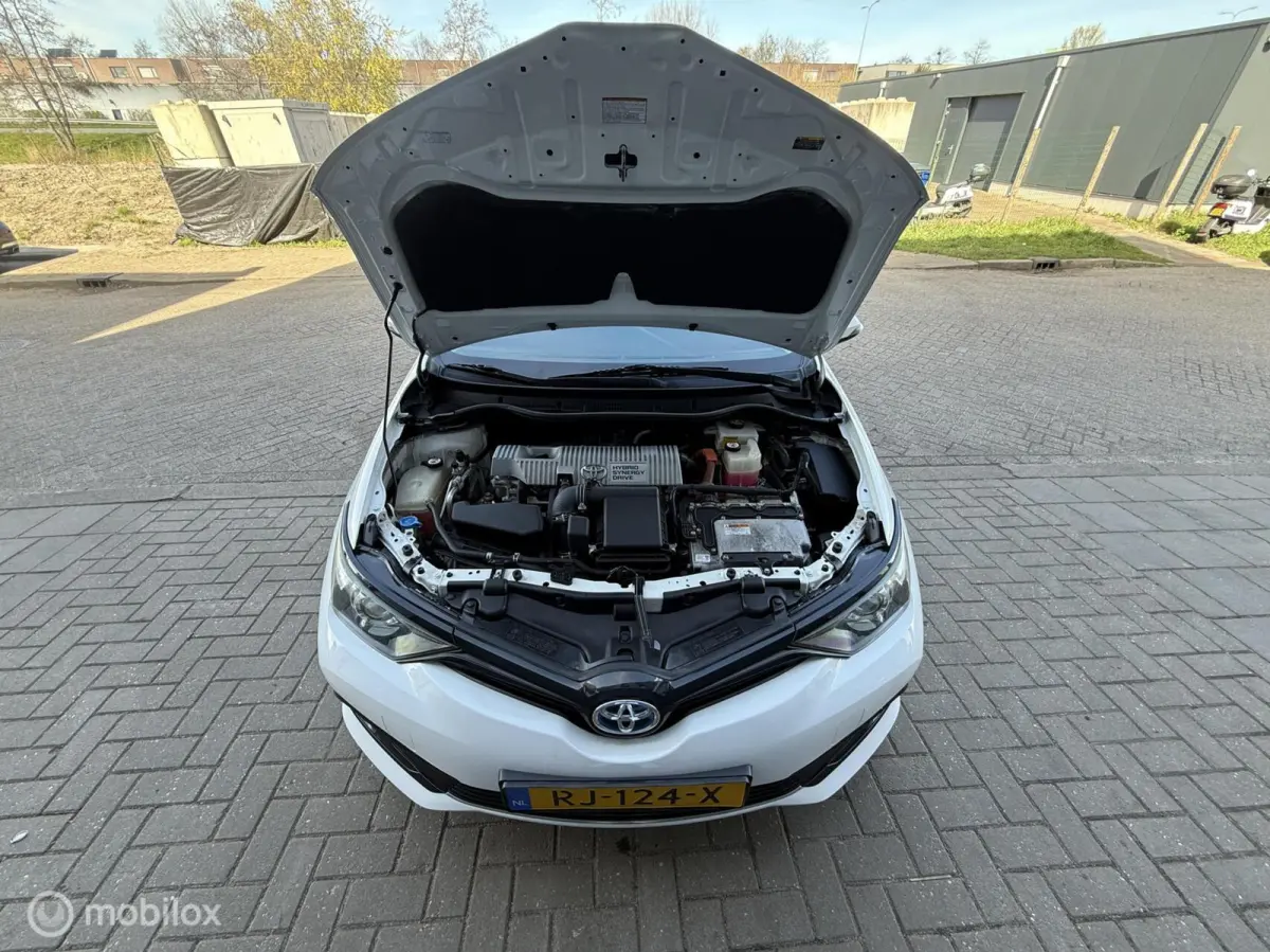 1.8 Hybrid Dynamic Go