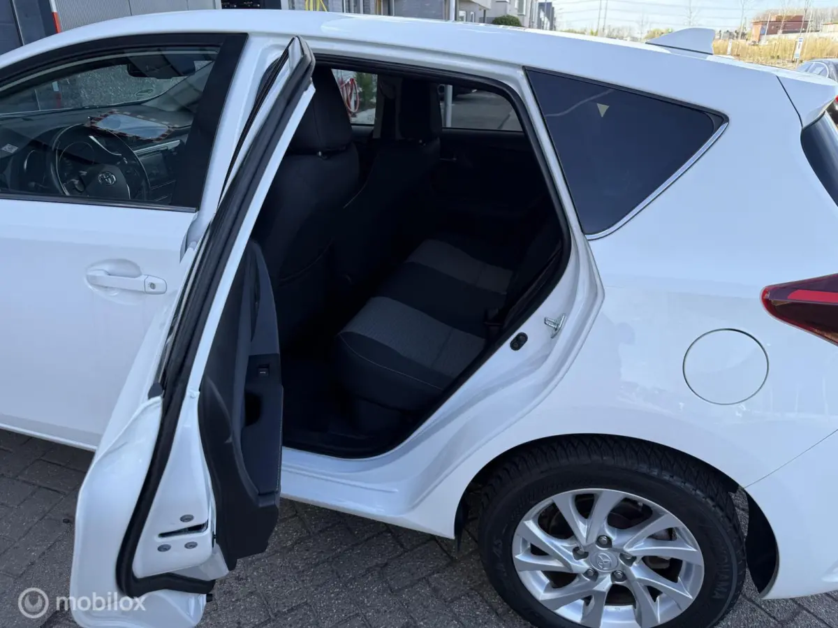 1.8 Hybrid Dynamic Go