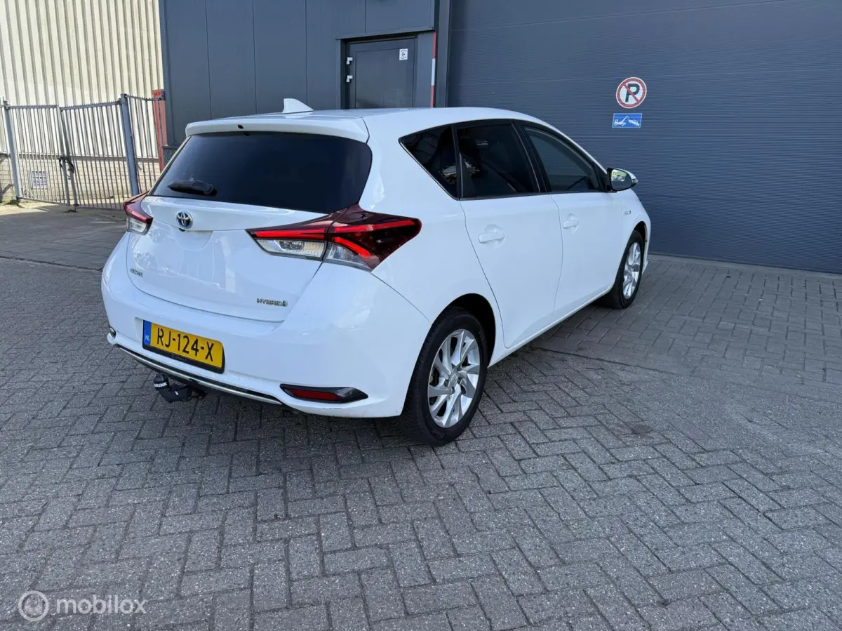 1.8 Hybrid Dynamic Go