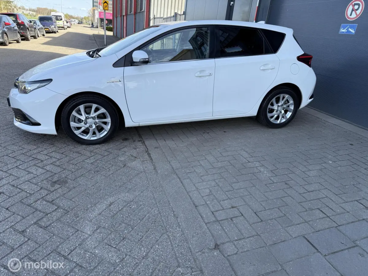 1.8 Hybrid Dynamic Go