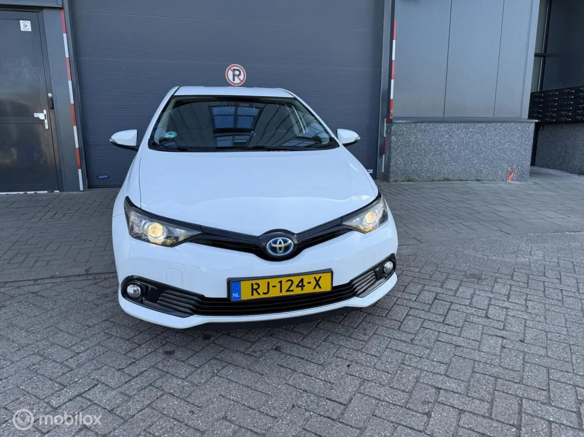 1.8 Hybrid Dynamic Go