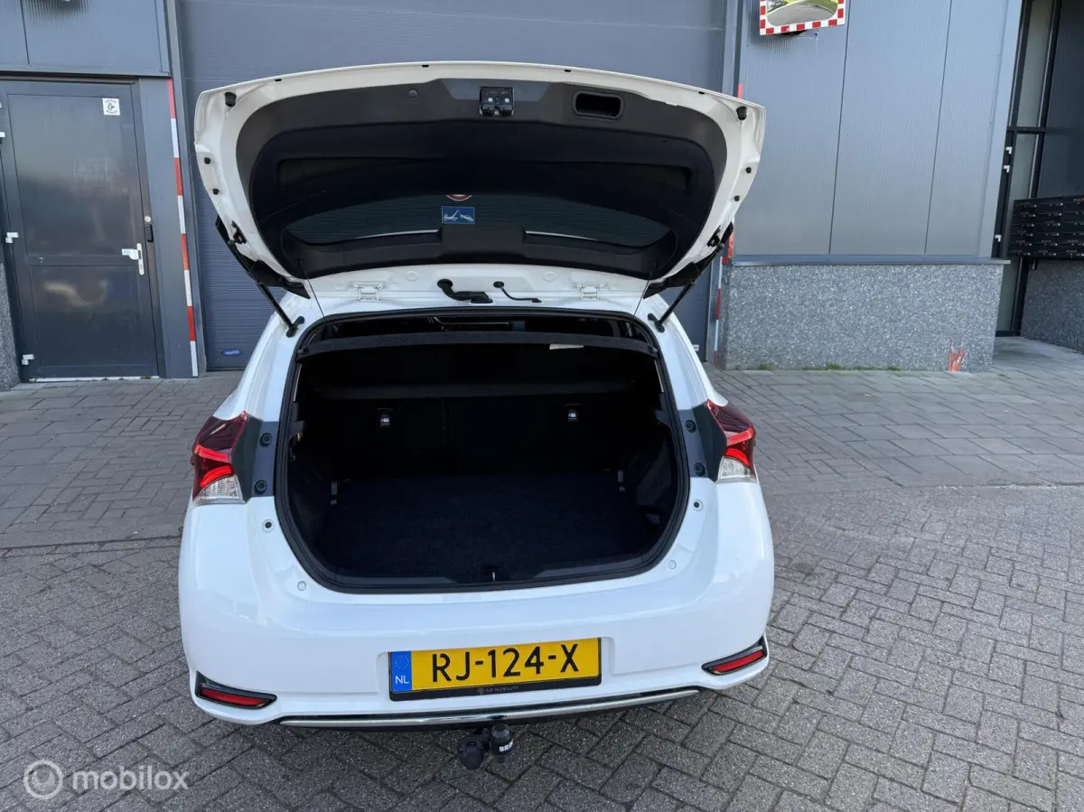 1.8 Hybrid Dynamic Go
