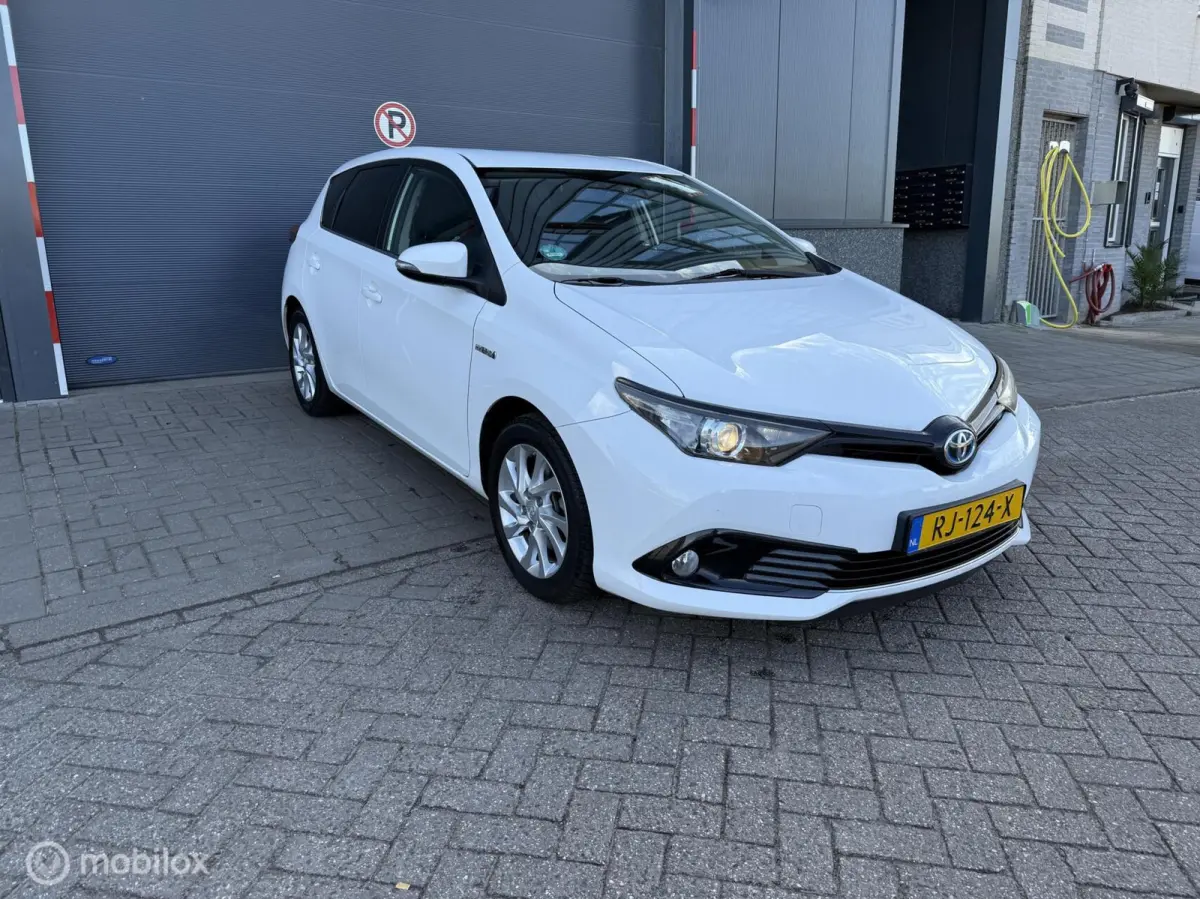1.8 Hybrid Dynamic Go