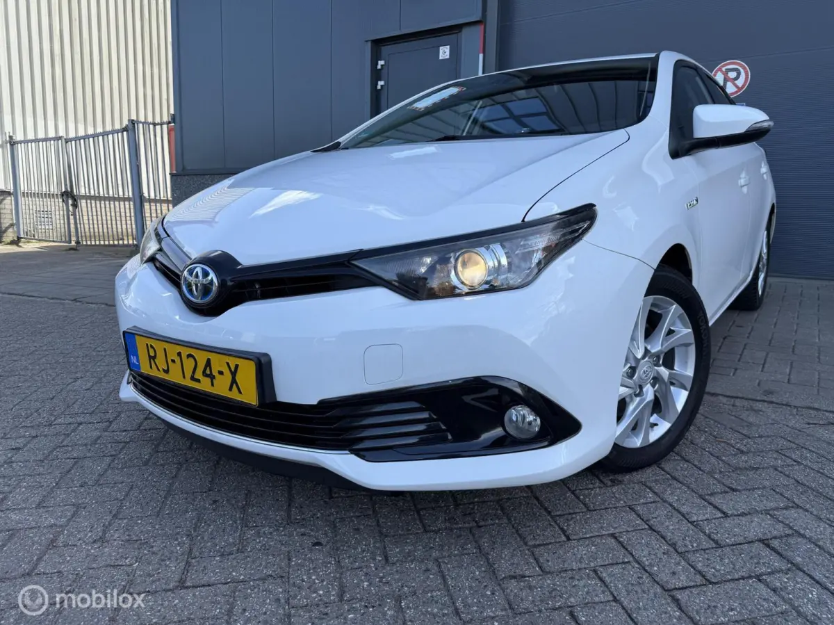 1.8 Hybrid Dynamic Go