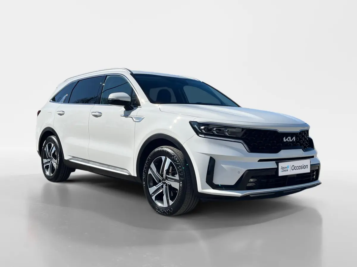 1.6 T-GDI Plug-in Hybrid 4WD DynamicPlusLine 7p. | Climate Control | CarPlay | Adaptive Cruise Control