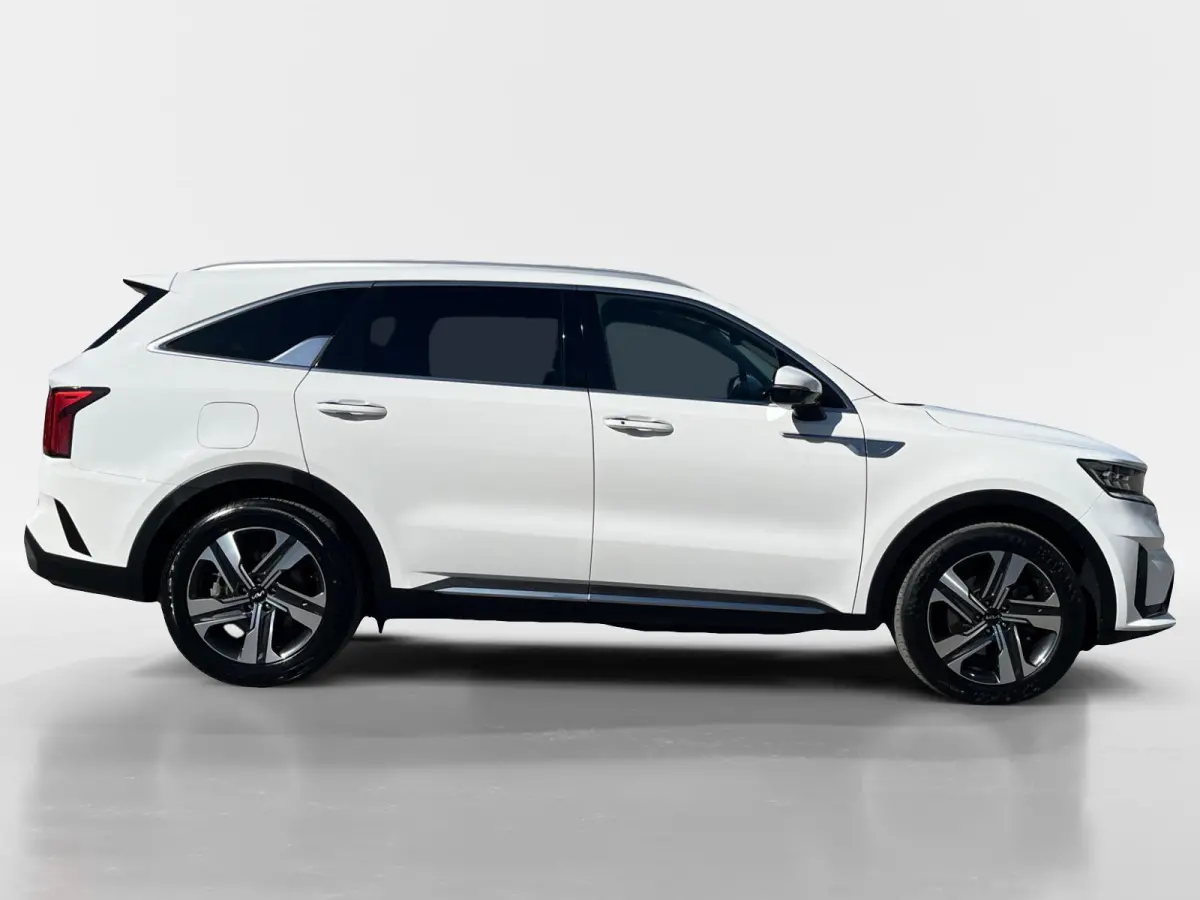 1.6 T-GDI Plug-in Hybrid 4WD DynamicPlusLine 7p. | Climate Control | CarPlay | Adaptive Cruise Control