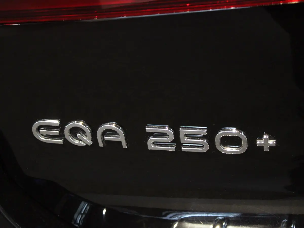 250+ Business Line LIMITED 71 kWh Panorama dak