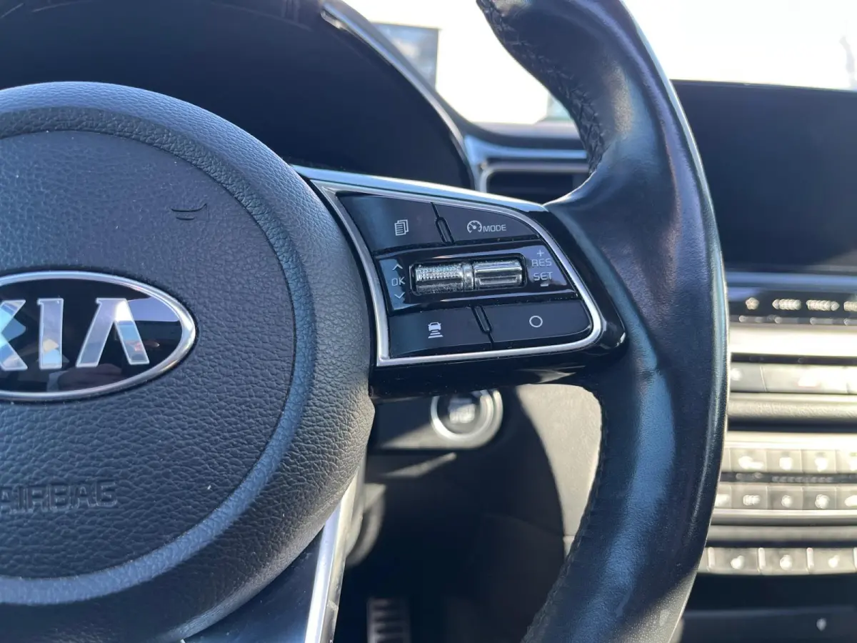 1.6 GDI PHEV ExecutiveLine Stoelverwarming | Stoelverkoeling | Panoramadak | Carplay | Adaptieve Cruise Control | Leder