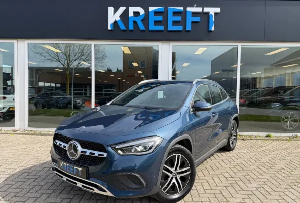 250 e Business Solution Luxury Limited Assistentie pakket