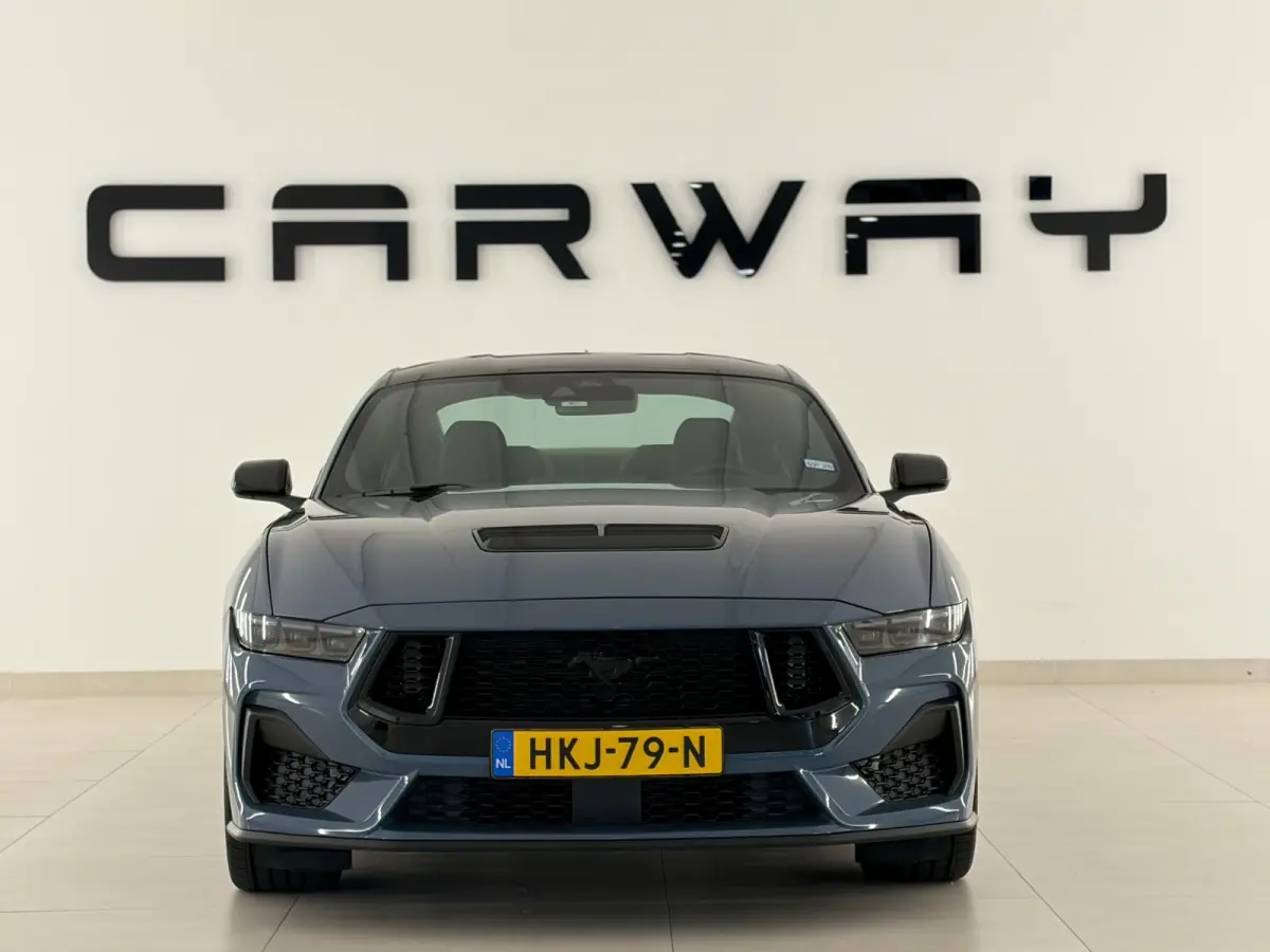 5.0 V8 GT BALCK FRIDAY DEAL!! NITE PONY