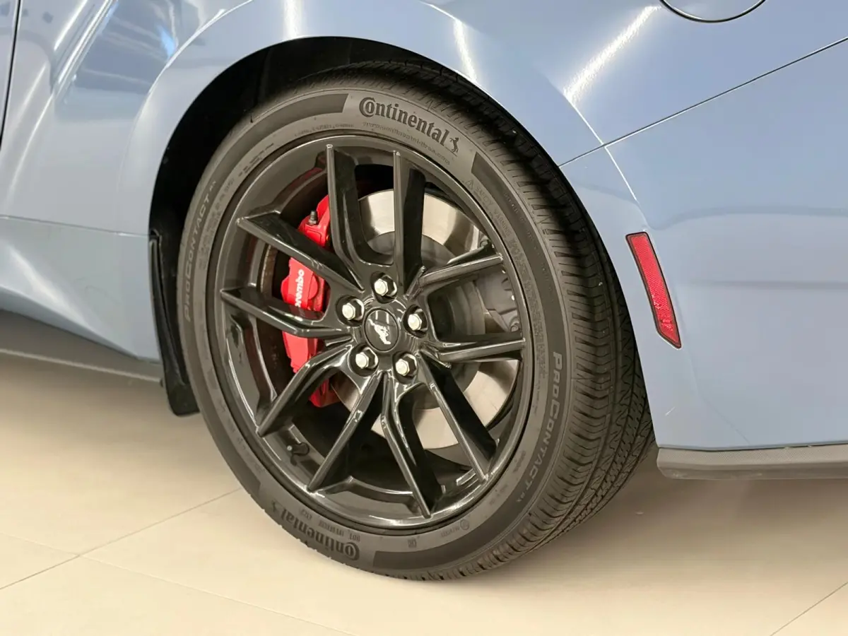 5.0 V8 GT BALCK FRIDAY DEAL!! NITE PONY