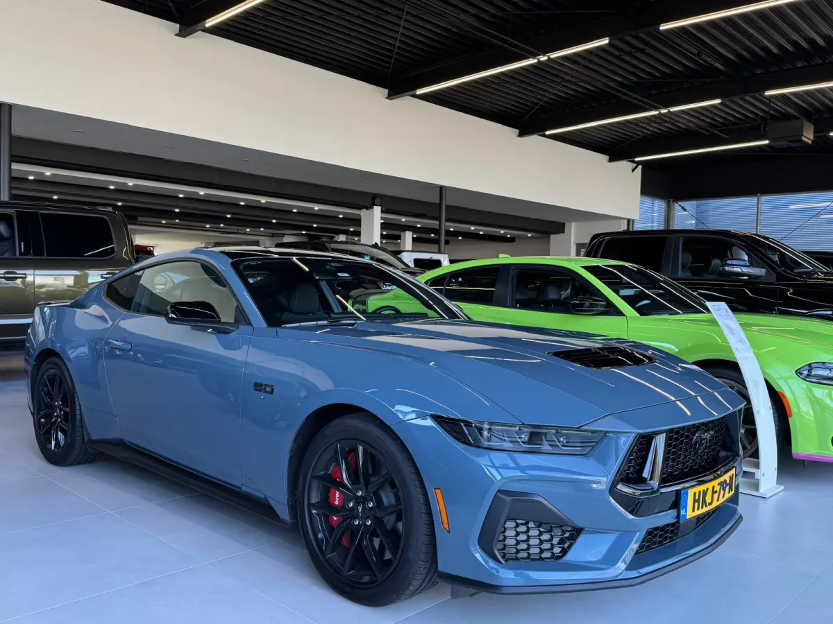 5.0 V8 GT BALCK FRIDAY DEAL!! NITE PONY