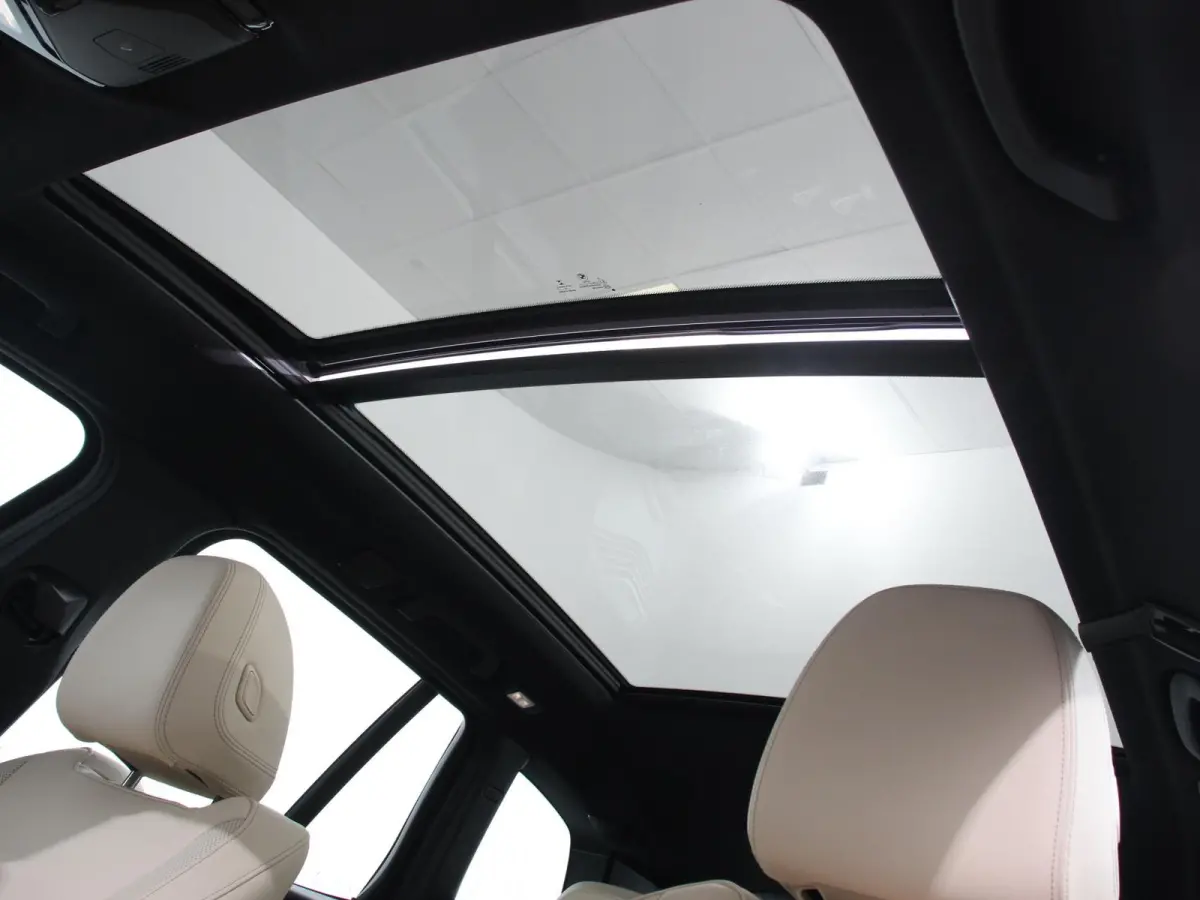 xDrive30e PHEV M Sport Demo auto ! Panorama dak Navigatie Climate Control Lichtmetalen Velgen