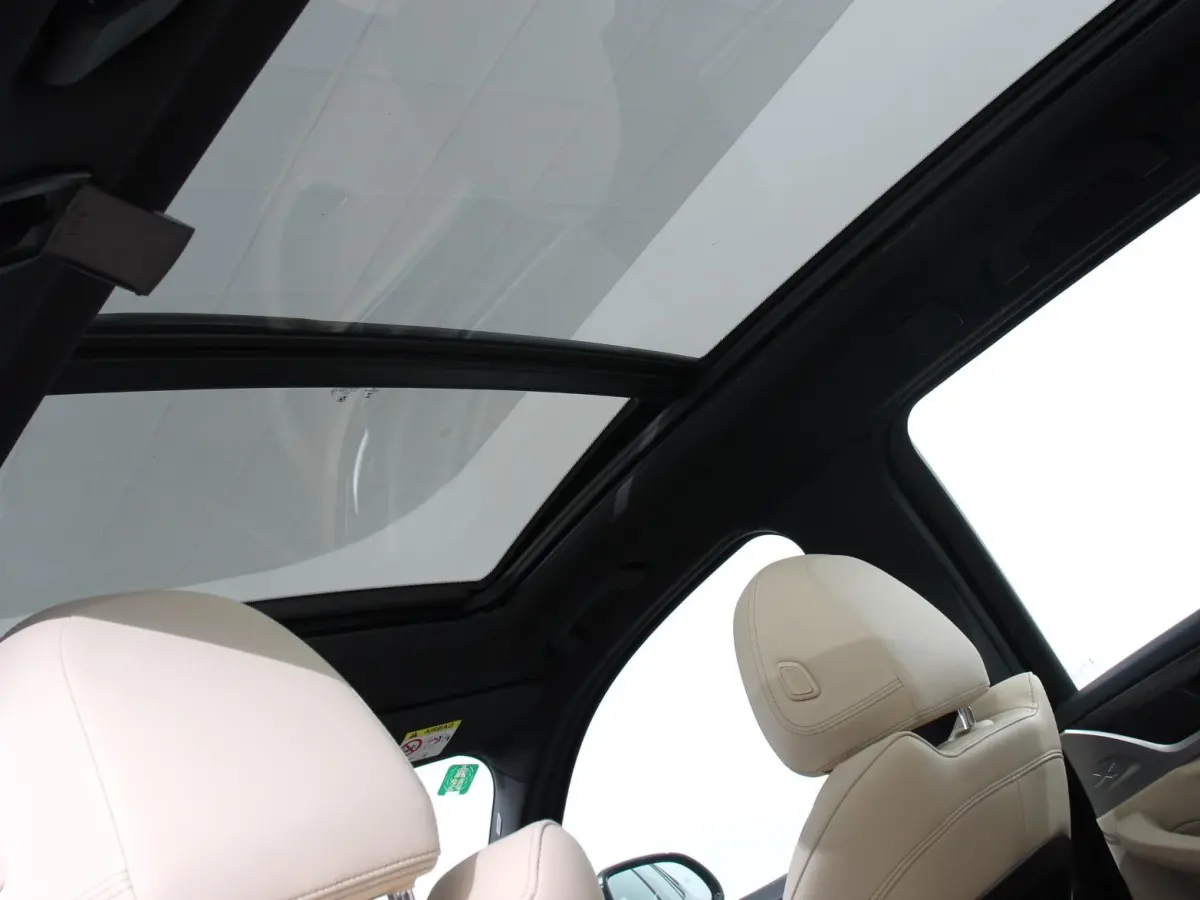 xDrive30e PHEV M Sport Demo auto ! Panorama dak Navigatie Climate Control Lichtmetalen Velgen