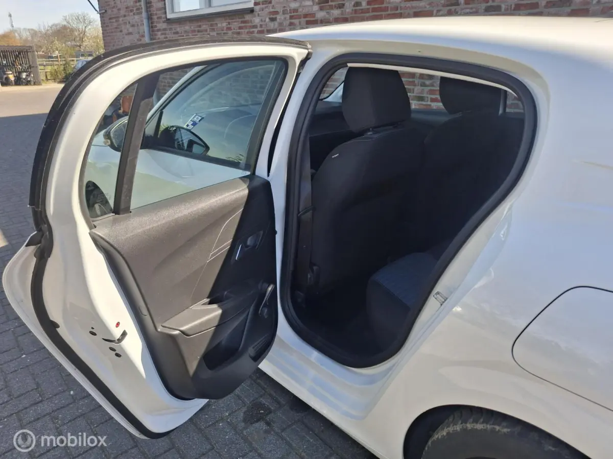 1.2 PureTech Active