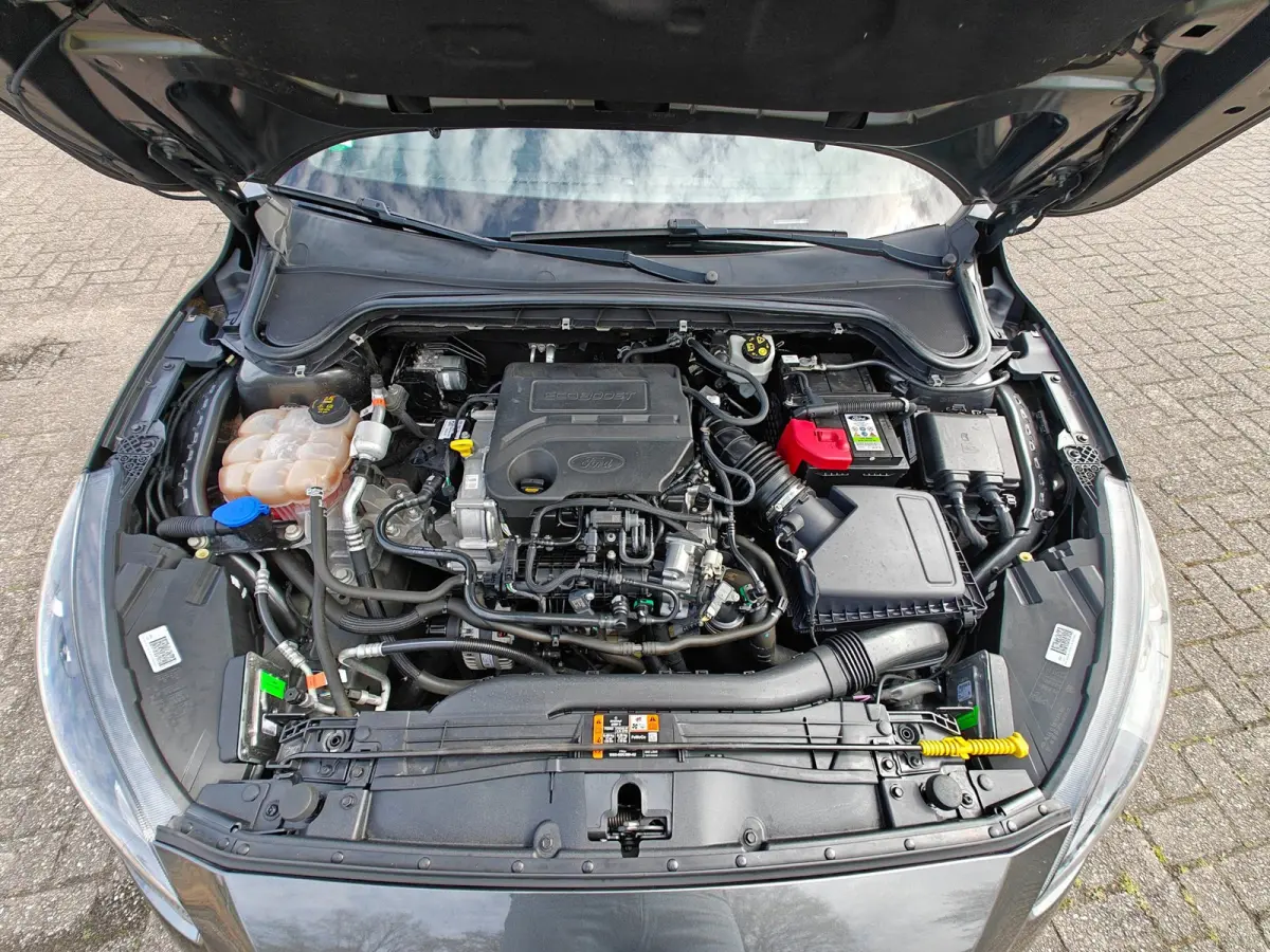 1.0 EcoBoost ST Line Business | LED | Panoramadak | Stoel en stuurverwarming | B&O systeem