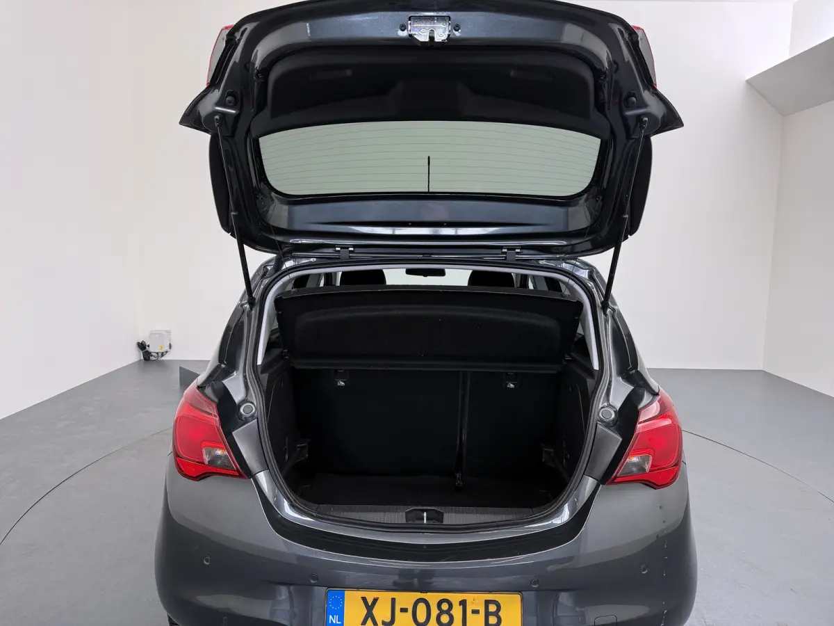 1.4 90 pk 5drs AUTOMAAT Online Edition / Navigatie / Camera / Parkeersensoren / Carplay / DAB / 16'' LMV /