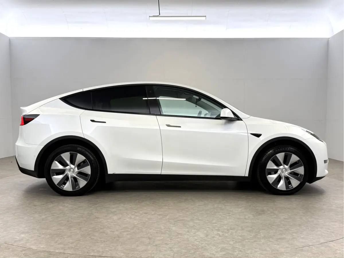 Long Range AWD 75 kWh | Snelladen | Autopilot | SOH 90% | Camera | Memory | Pano | Stoel/Stuurverw.