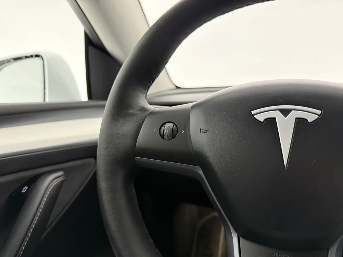 Long Range AWD 75 kWh | Snelladen | Autopilot | SOH 90% | Camera | Memory | Pano | Stoel/Stuurverw.