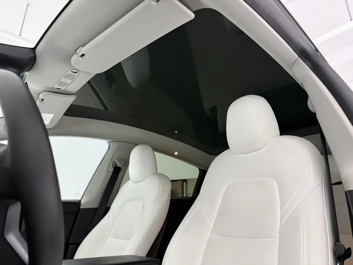 Long Range AWD 75 kWh | Snelladen | Autopilot | SOH 90% | Camera | Memory | Pano | Stoel/Stuurverw.