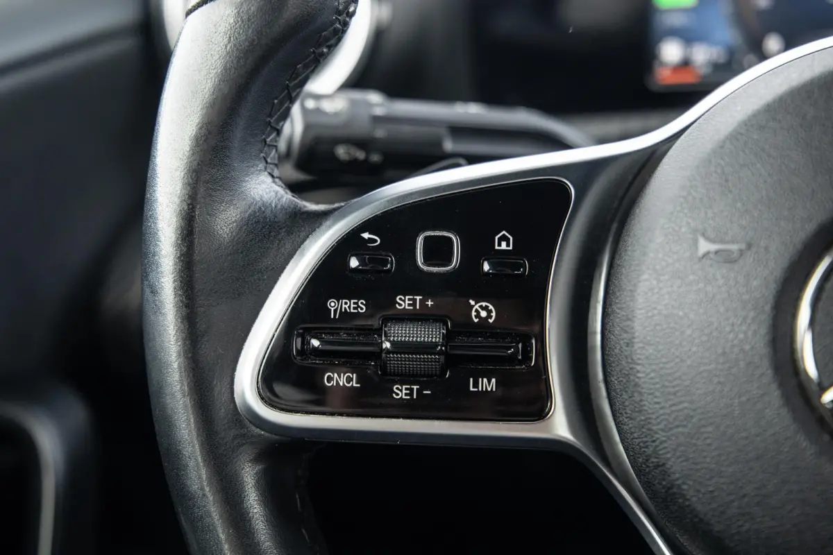 250 e Business Line CARPLAY / LEER / CAMERA / CRUISE CONTROLE / DEALER ONDERHOUDEN