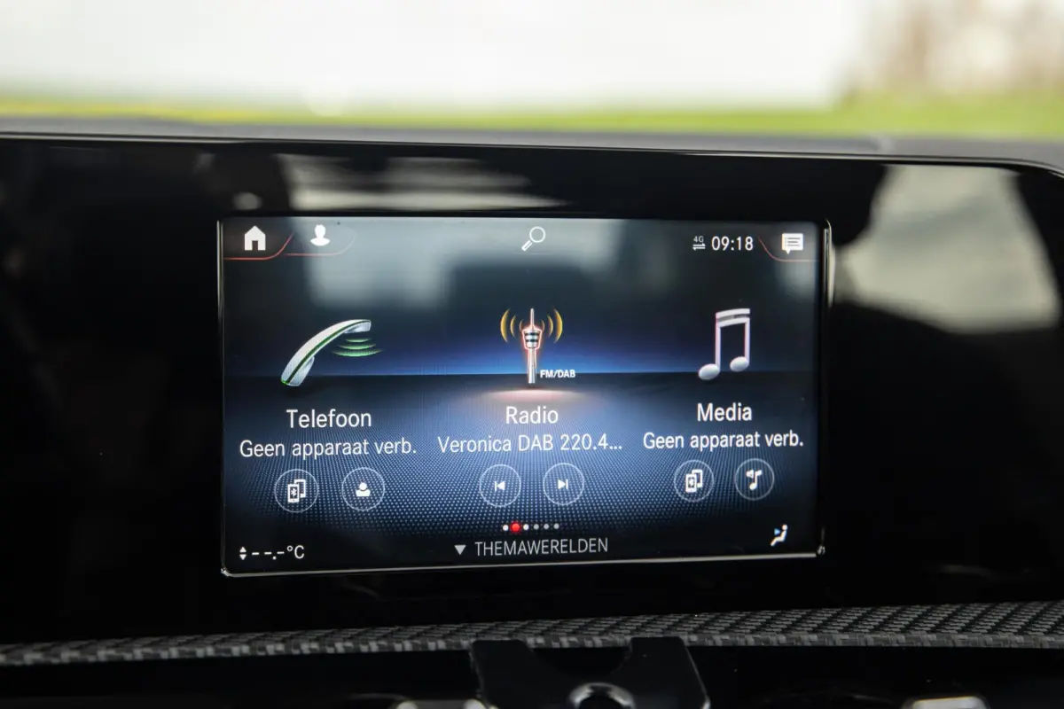 250 e Business Line CARPLAY / LEER / CAMERA / CRUISE CONTROLE / DEALER ONDERHOUDEN