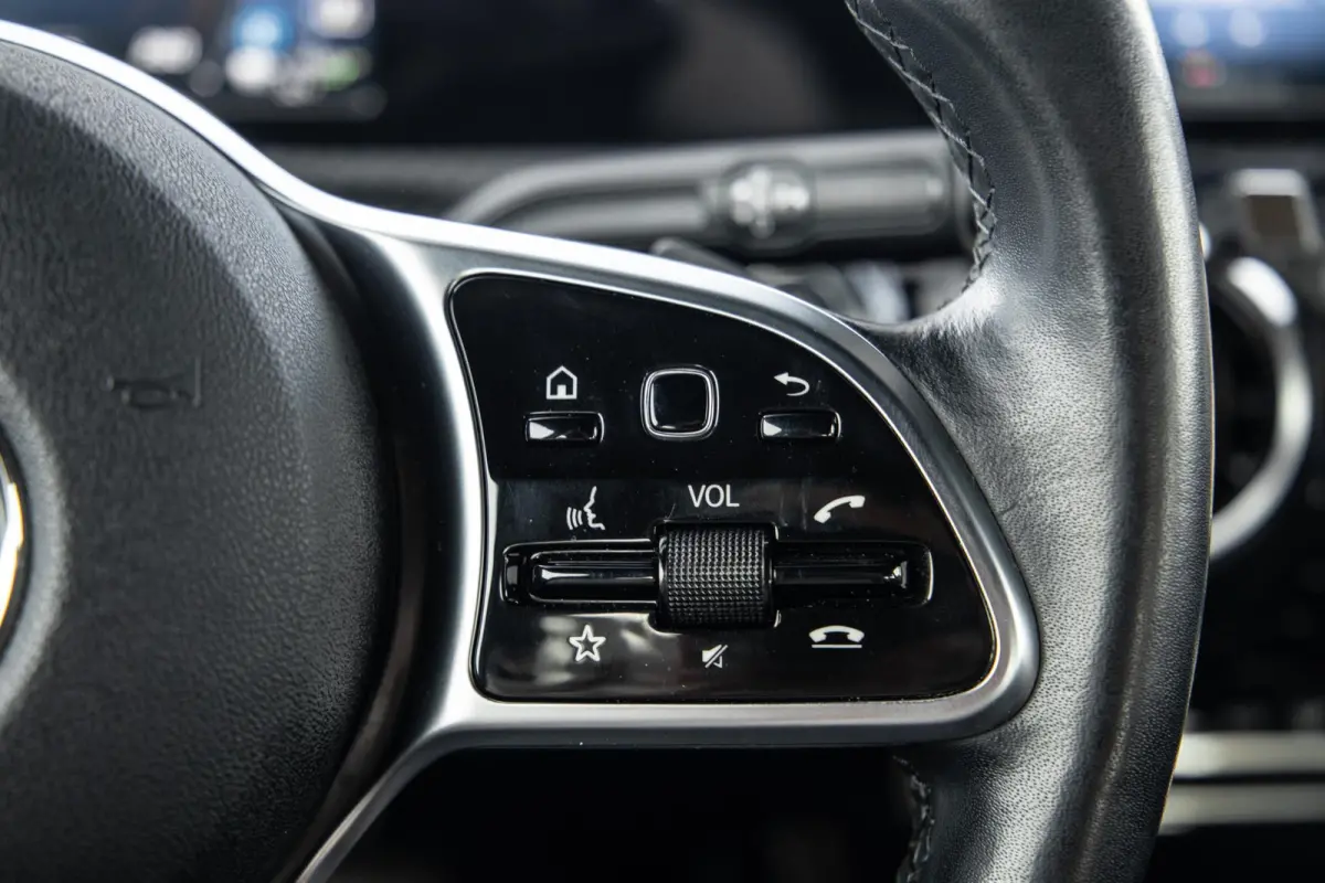250 e Business Line CARPLAY / LEER / CAMERA / CRUISE CONTROLE / DEALER ONDERHOUDEN