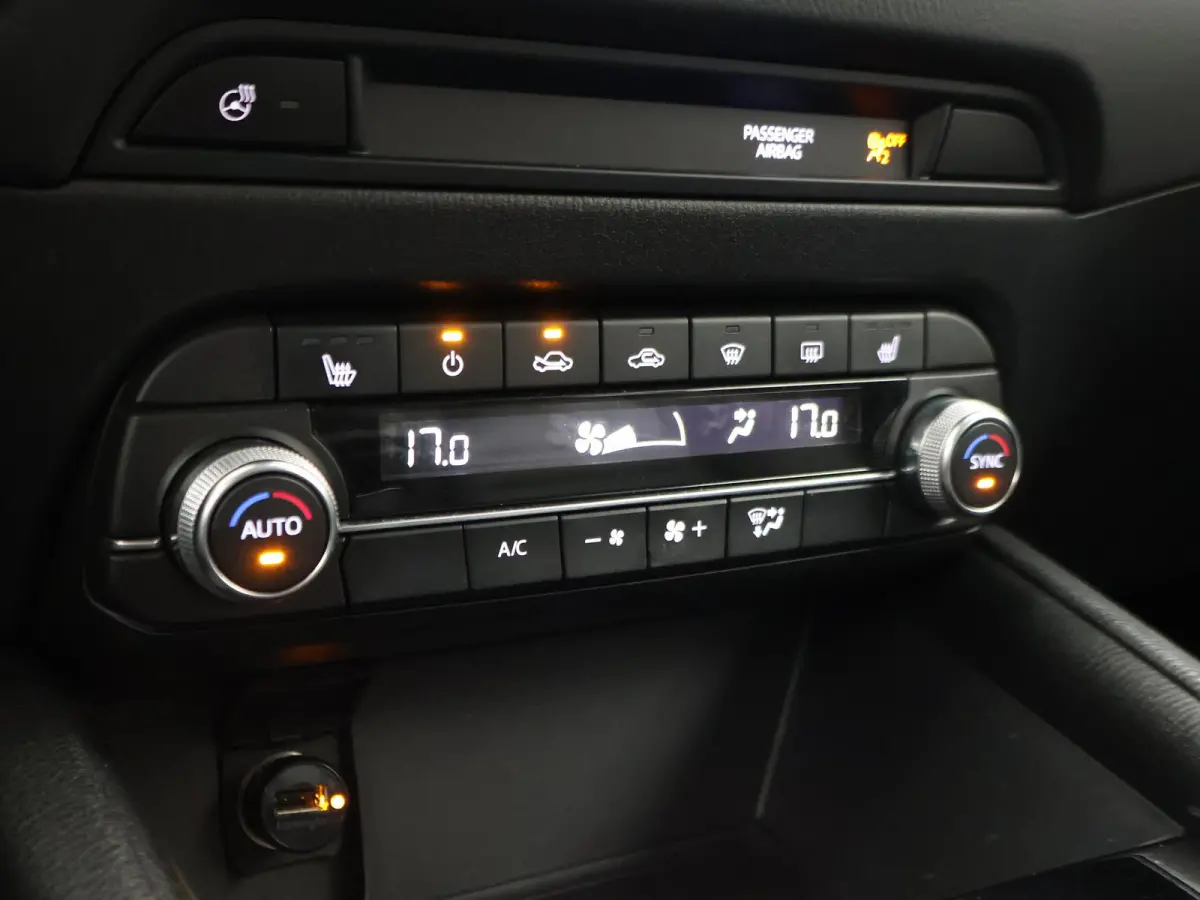 2.0 165 PK AUT. + 20 INCH LMV | LEDER | CARPLAY | BOSE | MEMORY | STUUR/STOELVERW.