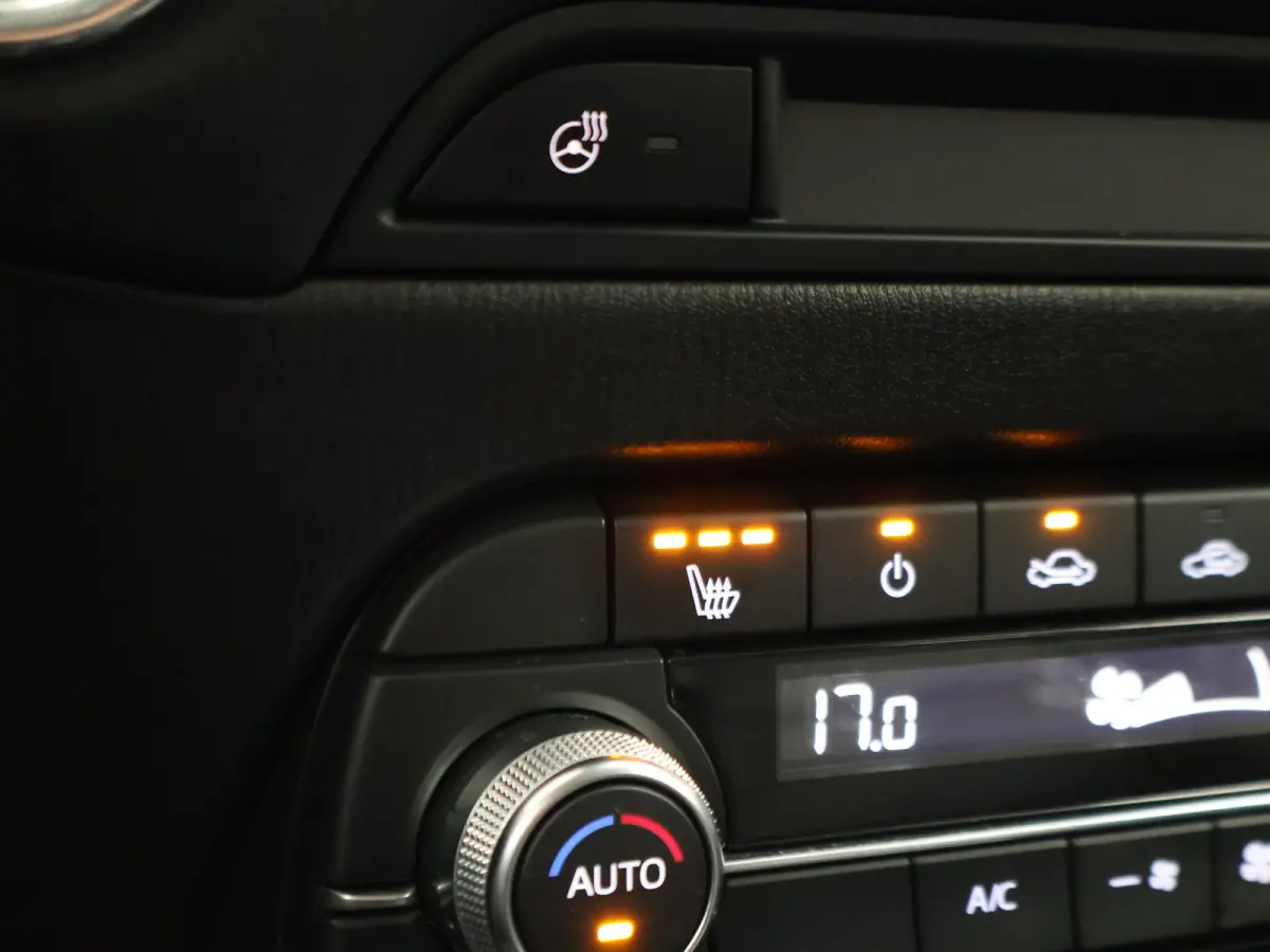 2.0 165 PK AUT. + 20 INCH LMV | LEDER | CARPLAY | BOSE | MEMORY | STUUR/STOELVERW.