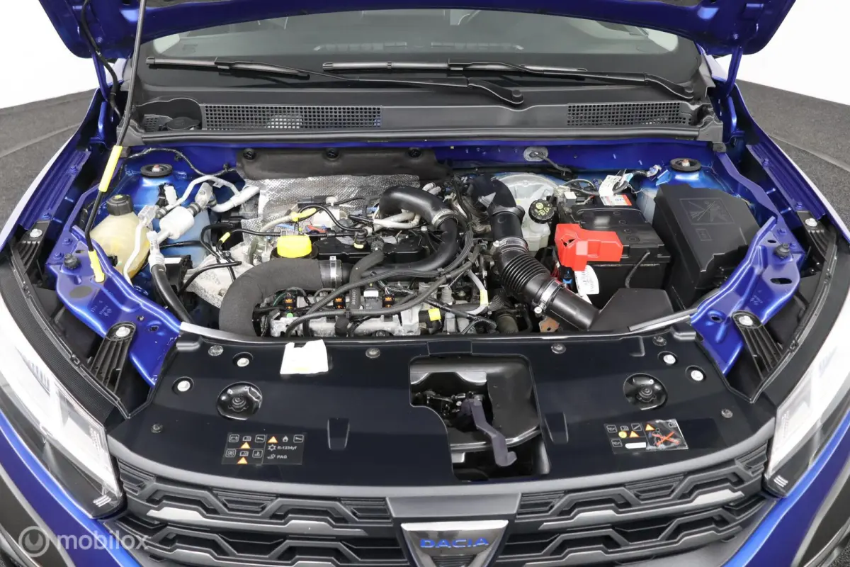 1.0 TCe Bi-Fuel Comfort 7p.