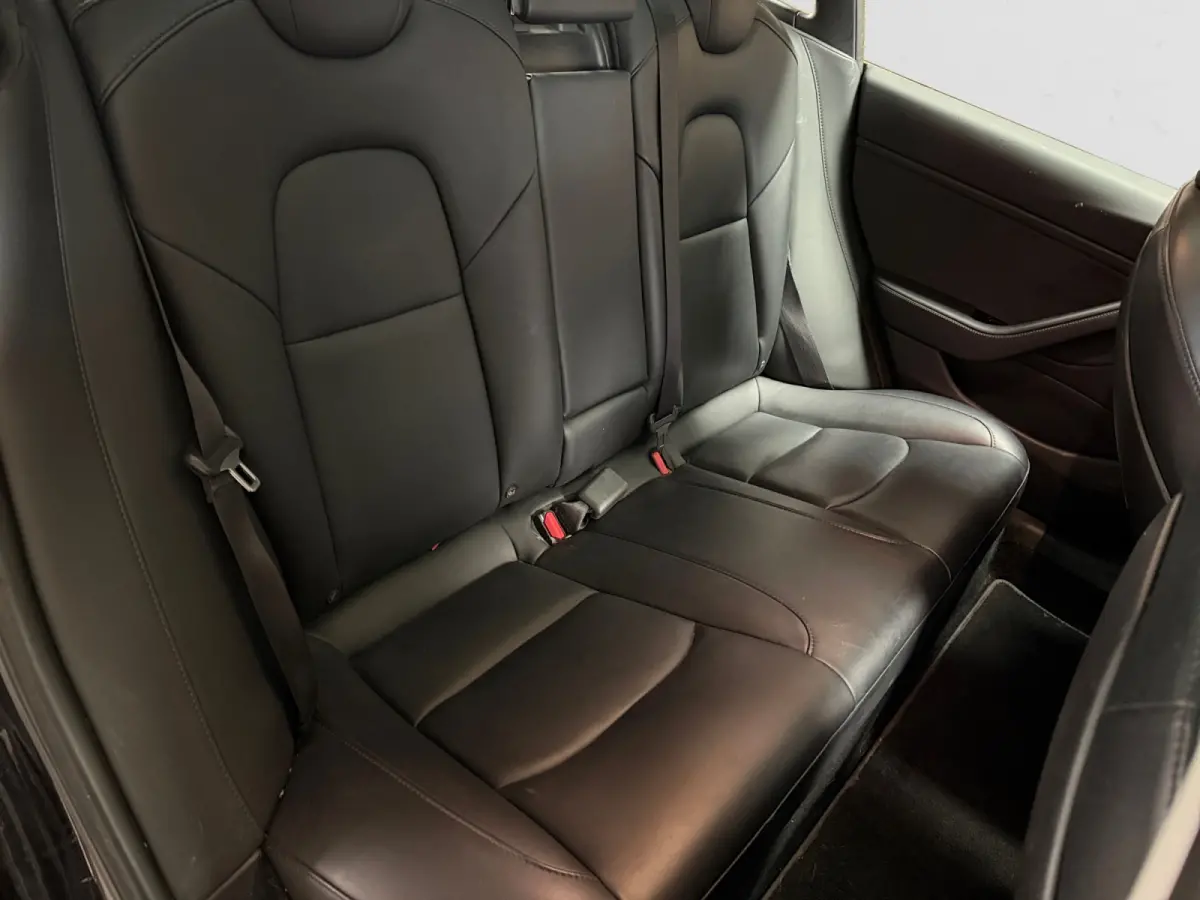 Long Range AWD 75 kWh SOH 85%, Autopilot, Panoramadak, Stoelverwarming