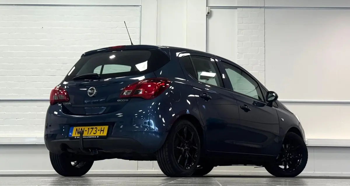 1.0 Turbo Edition 2e Eigenaar Trekhaak Cruise LM velgen